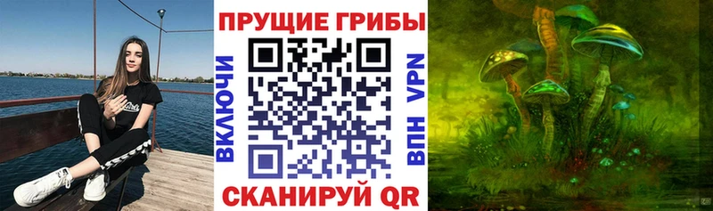 сколько стоит  Серов  сайты даркнета Telegram  Галлюциногенные грибы мицелий  KRAKEN ССЫЛКА 