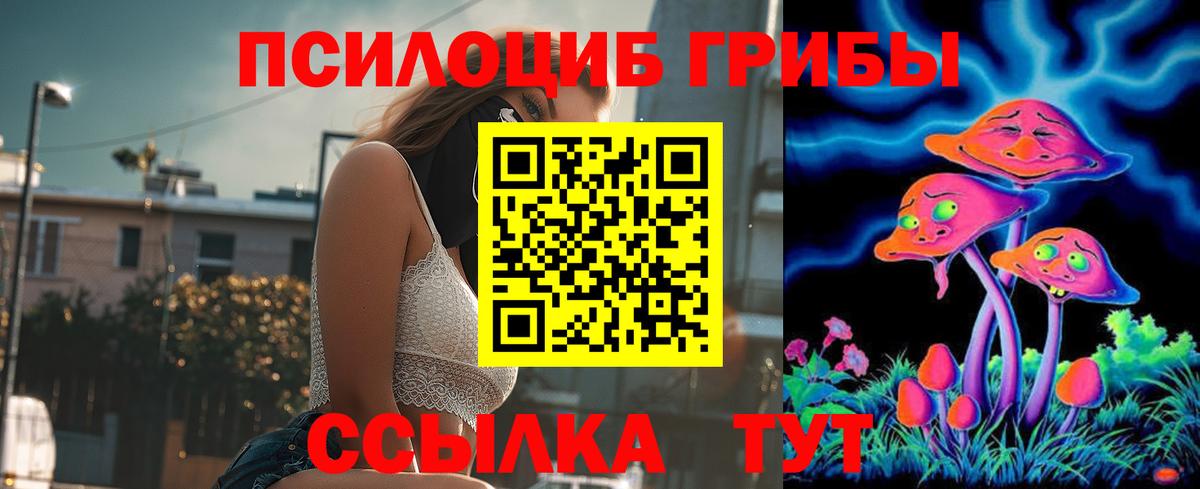 Серов  Псилоцибиновые грибы MAGIC MUSHROOMS  Вход с VPN 